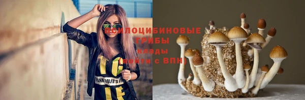 круглые Рославль